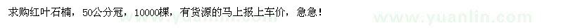 求購(gòu)冠50公分紅葉石楠