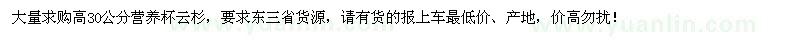 求購高30公分營養(yǎng)杯云杉