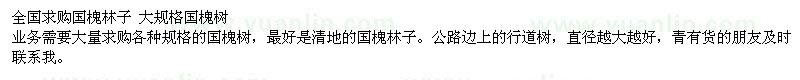 求購(gòu)國(guó)槐林子 大規(guī)格國(guó)槐樹(shù)