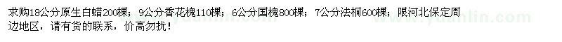 求購原生白蠟、香花槐、國槐、法桐
