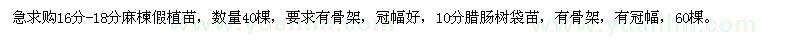 求購(gòu)麻楝假植苗、臘腸樹