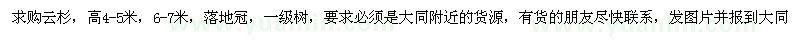 求購云杉高4-5米、6-7米