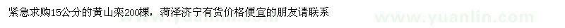 求購15公分的黃山欒