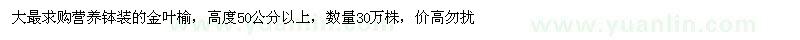 求購(gòu)營(yíng)養(yǎng)缽裝的金葉榆