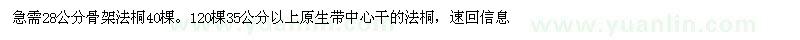 求購28公分骨架法桐