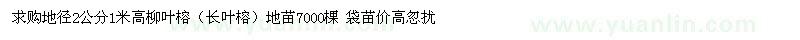 求購地徑2公分1米高柳葉榕