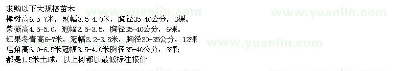 求購(gòu)櫸樹、紫薇、紅果冬青、皂角