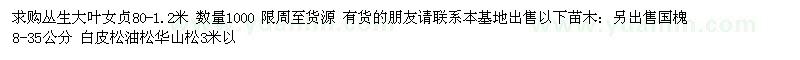 求購叢生大葉女貞