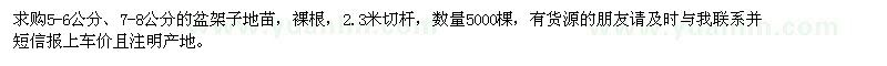 求購(gòu)5-6公分、7-8公分的盆架子地苗