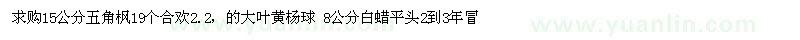 求購(gòu)五角楓 合歡樹 大葉黃楊球 白蠟 