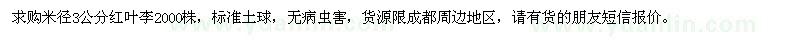 求購3公分紅葉李