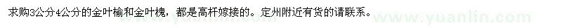 求購金葉榆和金葉槐 
