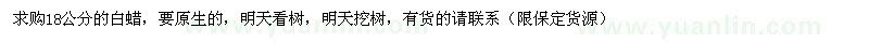 求購18公分的白蠟，要原生的 