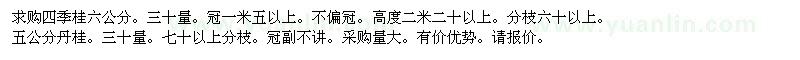 求購四季桂六公分、五公分丹桂