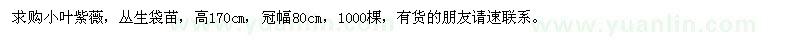 求購小葉紫薇1000棵