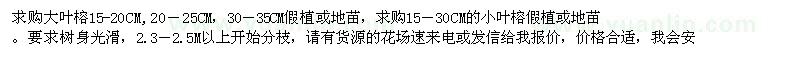 求購大葉榕,小葉榕