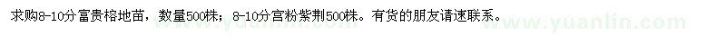 求購8-10分富貴榕地苗,8-10分宮粉紫荊