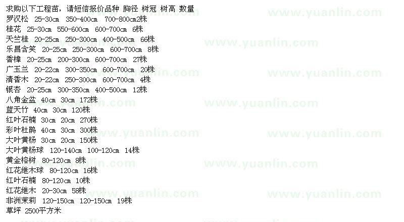 求購(gòu)羅漢松、桂花、天竺桂、樂(lè)昌含笑、廣玉蘭、銀杏