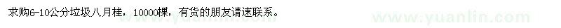 求購6-10公分垃圾八月桂