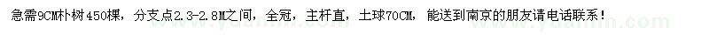 求購9CM樸樹