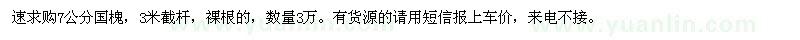 求購7公分國槐