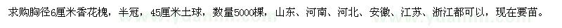 求購(gòu)胸徑6厘米香花槐