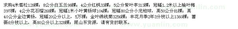 求購雪松、白玉蘭、紅楓、紫葉李等苗木