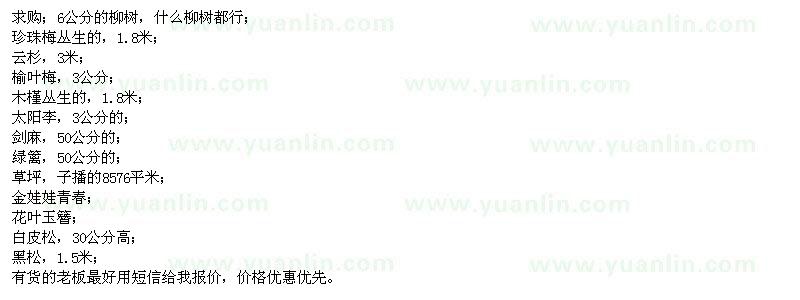 求購柳樹、云杉、榆葉梅、木槿、太陽李、劍麻