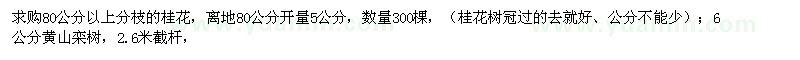 求購(gòu)80公分以上分枝的桂花、6公分黃山欒樹(shù)