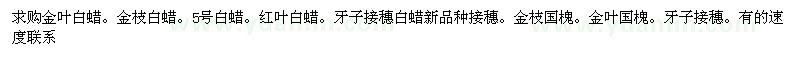 求購(gòu)金葉白蠟、金枝白蠟、5號(hào)白蠟、紅葉白蠟 