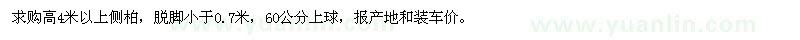 求購高4米以上側(cè)柏