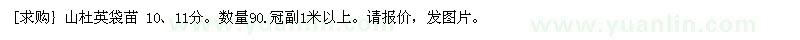 求購山杜英袋苗