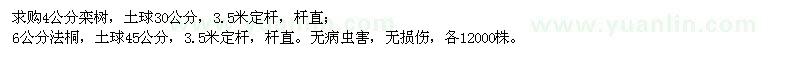 求購欒樹、法桐