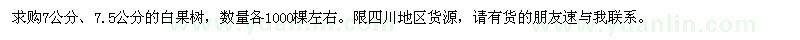 求購7公分、7.5公分的白果樹