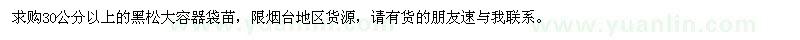 求購30公分以上的黑松大容器袋苗