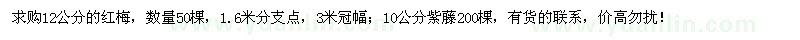 求購12公分紅梅、10公分紫藤