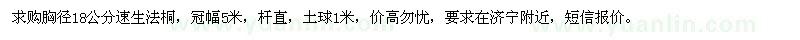 求購18公分3年帽速生法桐