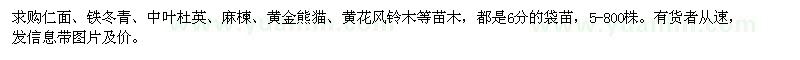求購(gòu)仁面、鐵冬青、中葉杜英、麻楝、黃金熊貓、黃花風(fēng)鈴木