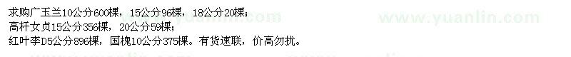 求購廣玉蘭、高桿女貞、紅葉李、國槐