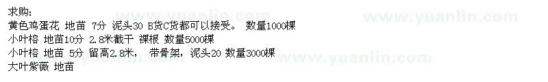 求購黃色雞蛋花、小葉榕、大葉紫薇