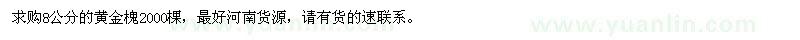 求購8公分的黃金槐