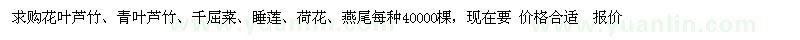 求購花葉蘆竹、青葉蘆竹、千屈菜、睡蓮、荷花、燕尾