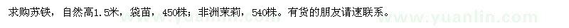 求購(gòu)蘇鐵、非洲茉莉