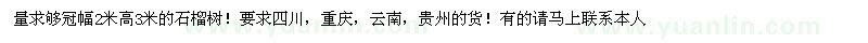 求購(gòu)石榴樹