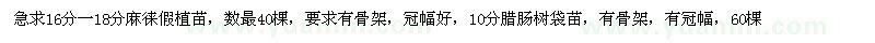 求購16分-18分麻楝假植苗 10分臘腸樹袋苗
