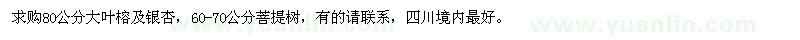 求購(gòu)80公分大葉榕及銀杏、60-70公分菩提樹(shù)