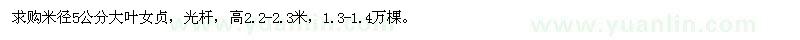 求購米徑5公分大葉女貞