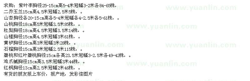 求購紫葉李、二喬玉蘭、山杏、山桃、山楂樹、黃櫨、石榴樹、碧桃、紅葉碧 