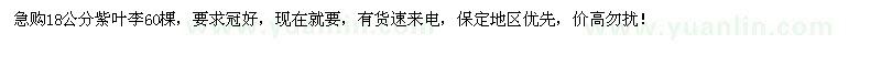 求購18公分紫葉李