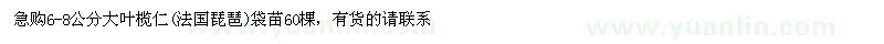 求購大葉欖仁